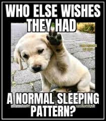 They makes our planet beautiful and better but sometimes their activities are maybe different or something so lets enjoy some these kind of moments and memes upon them. 540 Animal Memes Ideas In 2021 Animal Memes Funny Animals Cute Animals
