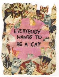 Not Found Crazy Cats Cats Cat Art