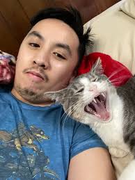 Just another day with Bambi tolerating my antics 😂 #cats #funnycats