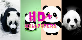 60 cute baby panda wallpapers images in full hd, 2k and 4k sizes. Panda Wallpaper Hd Amazon In Apps For Android