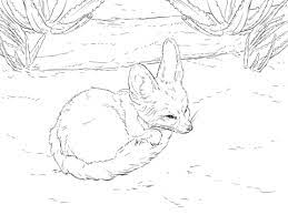 These patterns are so cute that you will be making some for everyone you know! Fennec Fox Curls Up Into A Ball Coloring Page From Fennec Fox Category Select From 26073 Printable Crafts Of Car Fox Coloring Page Fox Coloring Coloring Pages