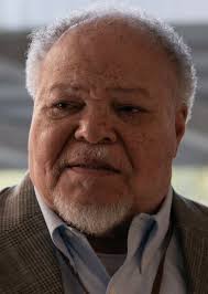 Fan Casting Stephen McKinley Henderson as Dr. Martin Stein in Blue and Gold  (2028)