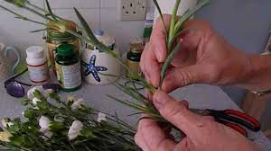 Pin On Diy Gardening