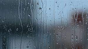3,000+ vectors, stock photos & psd files. Rain Drops On Window Glass Stock Footage Video 100 Royalty Free 14443822 Shutterstock