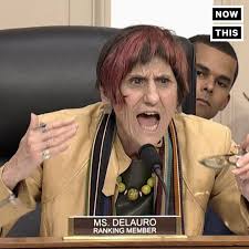 CONGRESSWOMAN FROM WALL STREET, DE LAURO