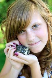 10+ Content Robin Stock Photos, Pictures & Royalty-Free Images