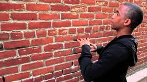 You're attracted to those kind of guys for environmental and biological reasons. Black Guy Brick Wall Novocom Top