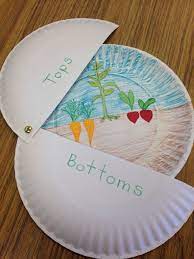 The first is labeled download which will prompt you to download the pdf version of this free math worksheet. Pin By Hased On School Learning Fall Kindergarten Preschool Crafts Plants Kindergarten