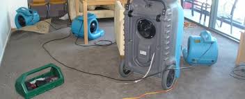For unbeatable and safe pest control across brisbane, call results home services. Safeclean Carpet Cleaning And Pest Control Brisbane