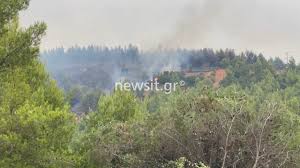 Σύμφωνα με το δίκτυο αυτόματων μετεωρολογικών σταθμών του εθνικού αστεροσκοπείου αθηνών/meteo.gr ο υδράργυρος έφτασε ή ξεπέρασε τους 40 βαθμούς. B16 Qvt3tpopkm