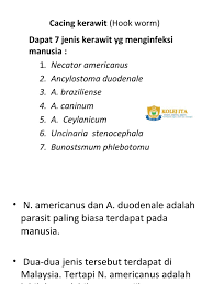 We did not find results for: Cacing Kerawit