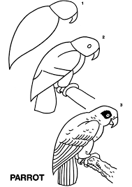 Bird Drawing For Kids Black And White How To Draw A Parrot Bird Drawings Parrots Art Doodle Drawings