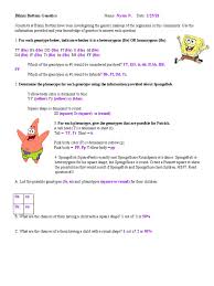 For each genotype using the information provided about spongebob. Bikini Bottom Genetics Pdf Dominance Genetics Zygosity