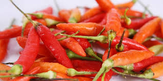 Akhirnya setelah ayam di goreng crispy digeprek2 deh pake cabe yg banyaaakkk. 10 Manfaat Cabai Untuk Kesehatan Halaman All Kompas Com