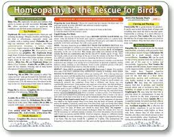 Homeopathy Guide For Birds Laminated Chart Homeopathic