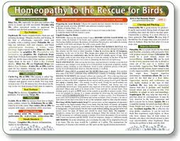 homeopathy guide for birds laminated chart homeopathic