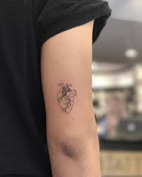 It also corresponds to the heart chakra, and is the flower of friendship. 120 Realistic Anatomical Heart Tattoo Designs For Men 2021 With Meanings