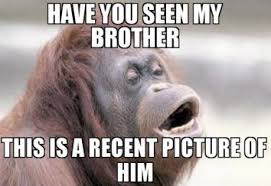 Our kids have learned from the experience of brothers and sisters that they can't always be first. 15 Sibling Memes That Sum Up The Love Hate Relationship Girlstyle India