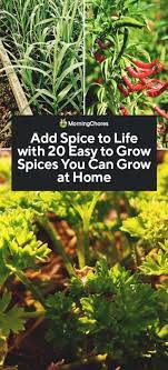 We can all admit that cardamom, cinnamon, vanilla you'll also need caraway seeds for planting. 20 Easy To Grow Spices You Can Grow At Home