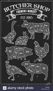 Cutting Meat Diagram Guide Cut Scheme In Vintage Style