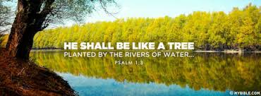Psalm 1:3 NKJV - Planted By Rivers Of Water - Facebook Cover Photo ...