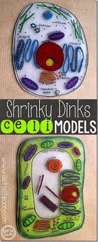 Biology corner animal cell coloring key. All About Cells Free Printables And Resources Homeschool Giveaways