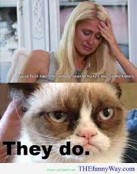 No Grumpy Cat Quotes Quotesgram