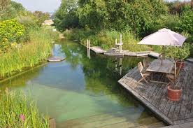 Natural Swimming Pool By Woodhouse Natural Pools Swimming Natural Swimming Ponds Natural Pool Natural Swimming Pools