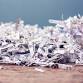 Community Shred Day