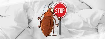 Call a pest professional for assistance in treating furniture you want to keep. What Is Truly Nolens Bed Bug Removal Process