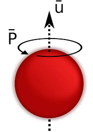 One or more protons are present in the nucleus of every atom; File Spinning Proton Svg Wikimedia Commons