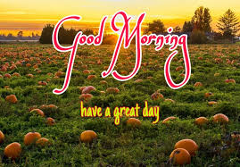 Maybe you would like to learn more about one of these? 100 Good Morning Nature Images Hd Quotes Wishes 2021 Collection