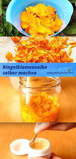 Ringelblumensalbe Selber Machen Herstellen Rezepte Philognosie Ringelblumensalbe Selber Machen Ringelblumensalbe Rezept Ernahrung Und Diat