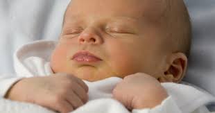 Dr. Mirta T Soler MD, Pediatrician in Farmington, MI, 48336