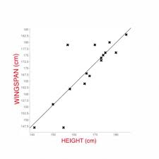 Wingspan Lab Pwc