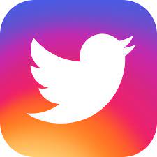 Twitter 15 Logos Reimagined With Instagram S New Colors Instagram Logo Instagram Cute App