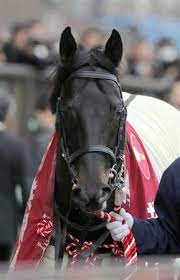 2:51 競馬じじい 25 837 просмотров. å…±åŒé€šä¿¡æ¯ ãƒ€ãƒŽãƒ³ã‚­ãƒ³ã‚°ãƒªãƒ¼ãŒæœ€å†…ä¼¸ã³ã¦é‡è³žåˆï½– 5 ã‚µãƒ³ã‚¹ãƒzbat ç«¶é¦¬