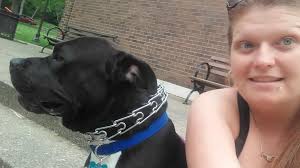 Lost pet in Shepherdsville area needs to be found