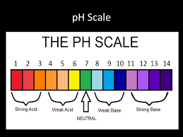 The worksheet is an assortment of 4 intriguing pursuits that will enhance your kid's knowledge and abilities. What Are Bases In Ph Scale