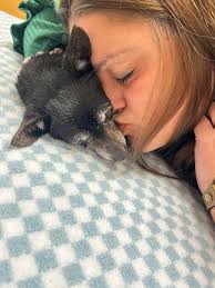 I lost my beautiful Darby