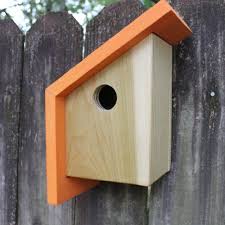 Bird House Kits For Adults Amazon Robot Check Modern Birdhouses Bird House Bird House Plans
