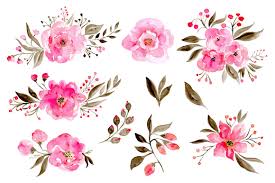 We did not find results for: 5 Easy Watercolor Flower Tutorial Steps For Beginners Tropic Drawing