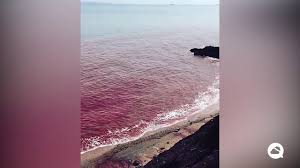 Check spelling or type a new query. The Bloody Sea Of Hormuz Island Youtube