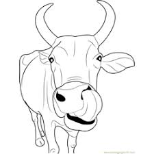 This free c oring pages best cow to color colouring family c3 82 c2 is taken from : Cow Coloring Pages For Kids Printable Free Download Coloringpages101 Com
