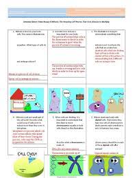 As mentioned throughout video, the ability to taste ptc may be more complex than a single gene trait. Amoeba Sisters Video Recap Of Meiosis Answer Key Learn Lif Co Id