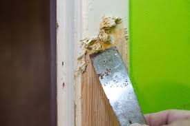 Here's how to decide, and the steps on how to remove paint from wood sanding vs. How To Remove Paint From Wood In 7 Steps Mymove