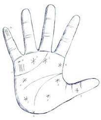 Guffcom Palmistry Palm Reading Tarot