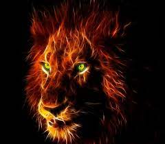 3d Lion Hd Wallpapers5 I M Dangerous When I M Focused 1880x1640 Wallpaper Teahub Io
