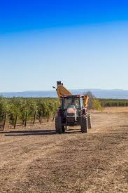 Visiting California Olive Ranch With Images California Olive Ranch California Olive Visit California