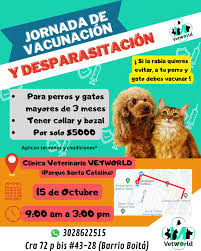 VETWORLD CLINICA VETERINARIA
